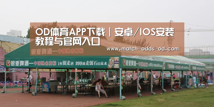案例标题七