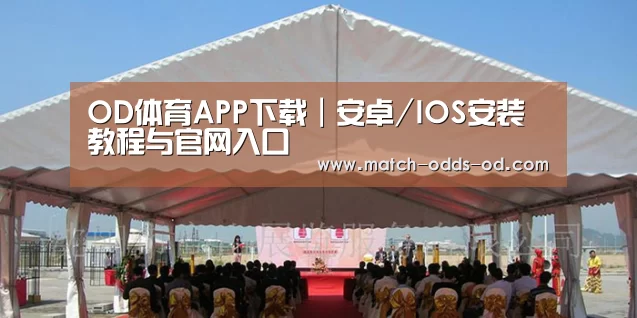 案例标题三